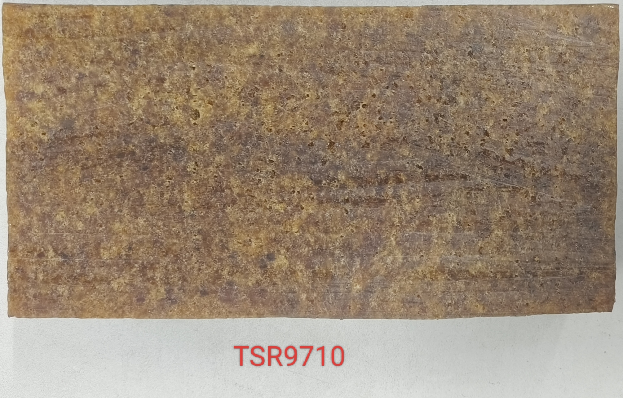 TSR9710.jpg